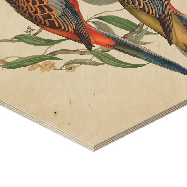 Hexagone en bois - Tropical Parrot II