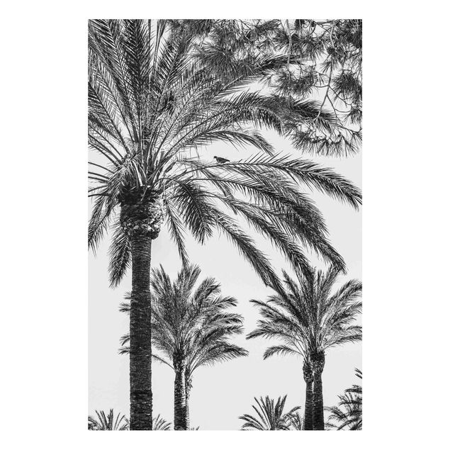 Tableau paysage Palmiers au coucher du soleil noir et blanc
