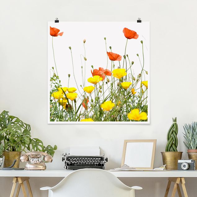 Tableau coquelicot Wild Flowers