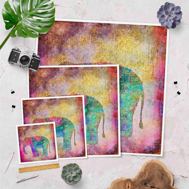 Tableaux Collage coloré - Éléphant indien