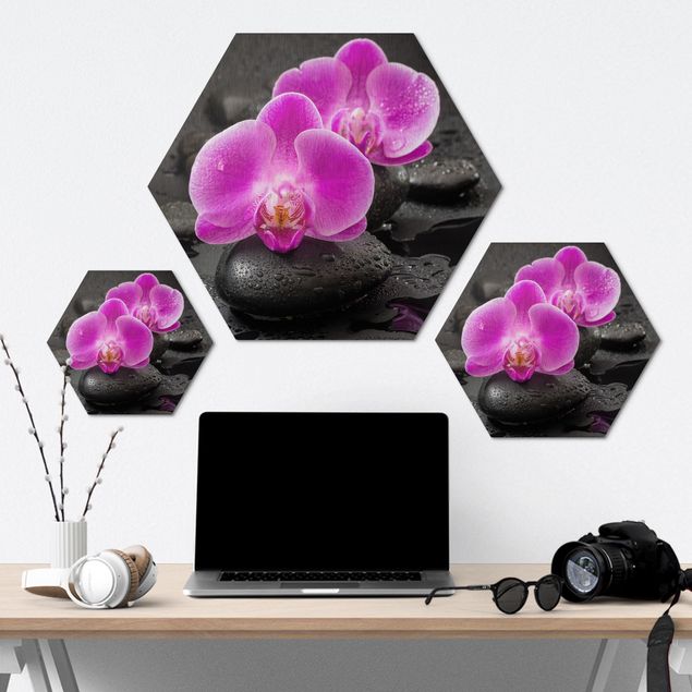 Tableau hexagon Fleur Orchidée Rose sur Pierres avec Gouttes