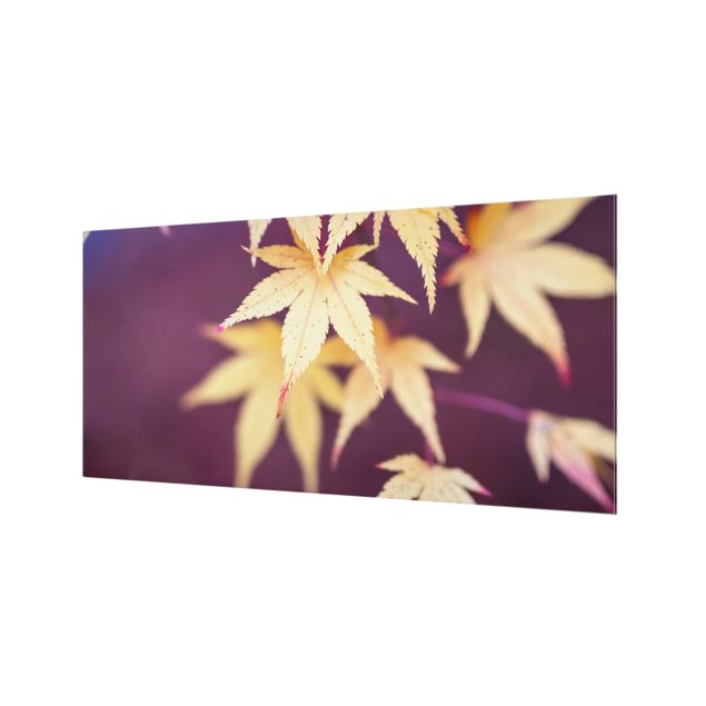 Fonds de hotte - Autumn Maple Tree - Format paysage 2:1
