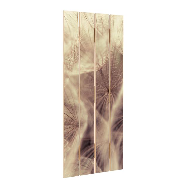 Impression sur bois Macro photo détaillée d'un pissenlit avec effet de flou vintage