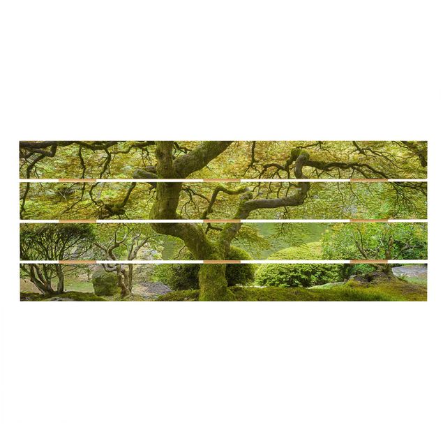 Tableaux muraux Jardin japonais vert