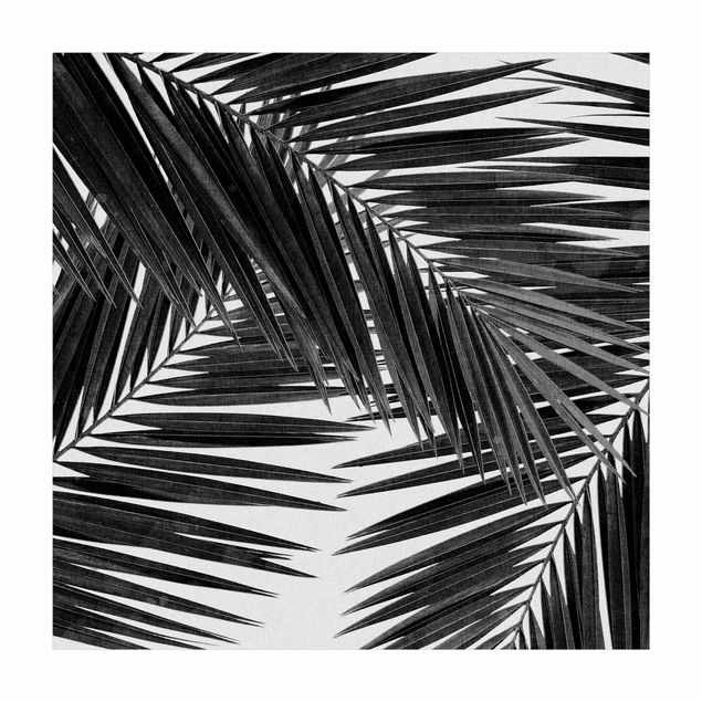 tapis chambre jungle Vue sur des feuilles de palmier noir et blanc