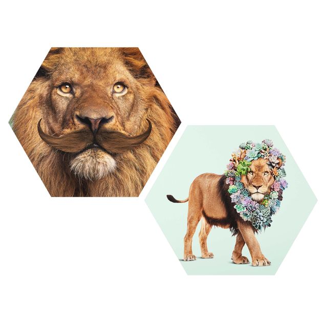 Tableau moderne Barbe de lion et succulentes