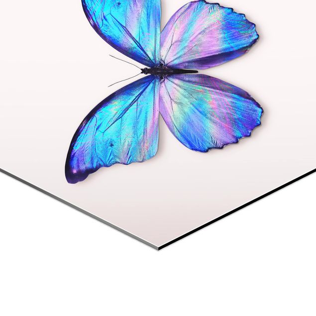 Tableaux de Jonas Loose Papillon Holographique
