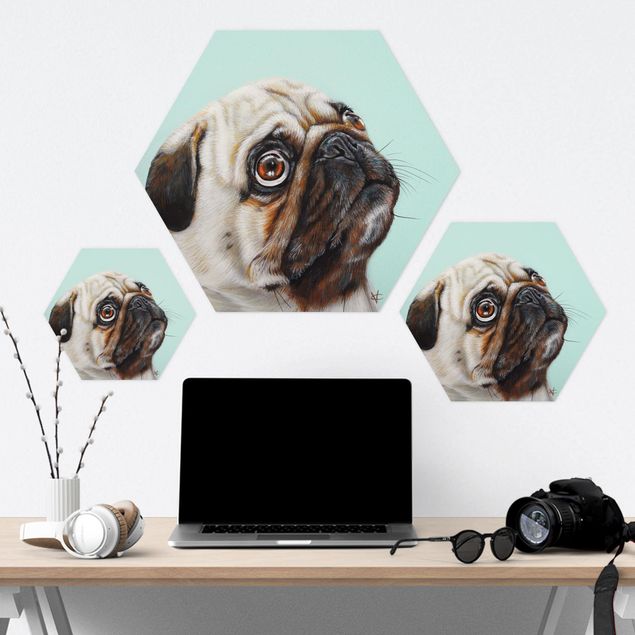Hexagone en forex - Reward For Pug