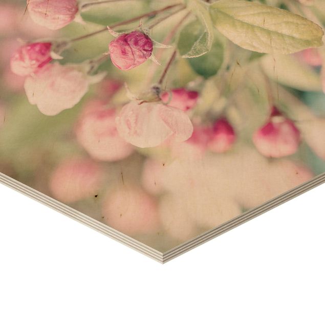 Tableaux en bois Apple Blossom Bokeh Light Pink