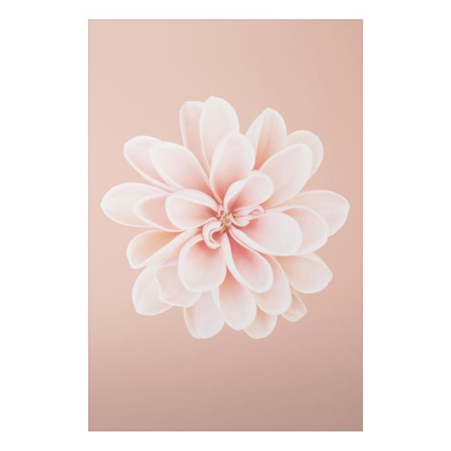 Tableaux moderne Dahlia Rose Pastel Blanc Centré