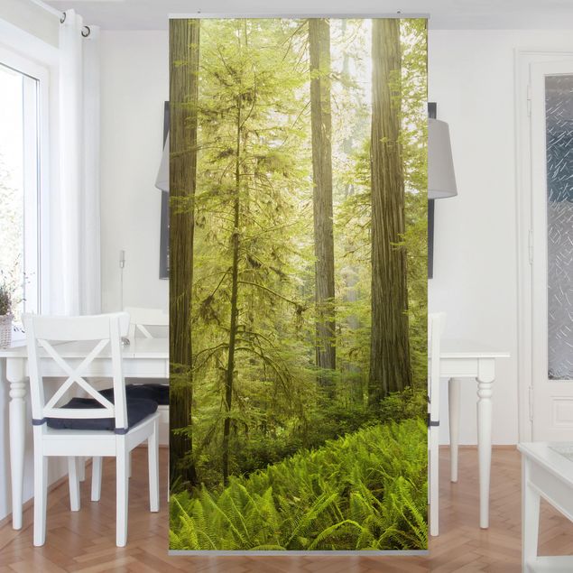 Tableaux de Rainer Mirau Vue de la forêt du Redwood State Park