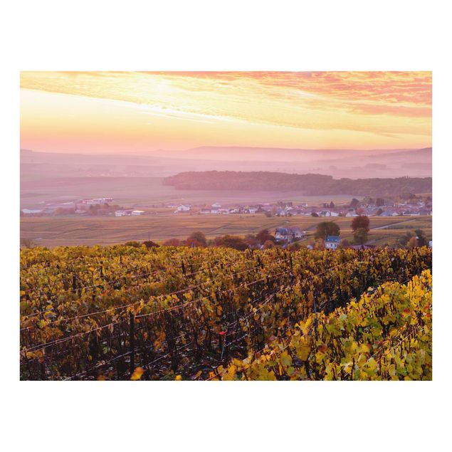 Fond de hotte - Wine Plantations At Sunset - Format paysage 4:3