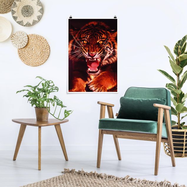 Tableaux moderne Tigre sauvage