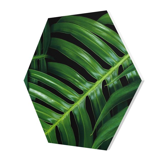 Tableaux verts Feuilles de palmier