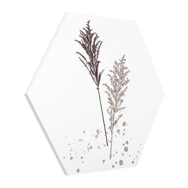 Tableau floral Botanique à l'aquarelle - Roseau de fétuque