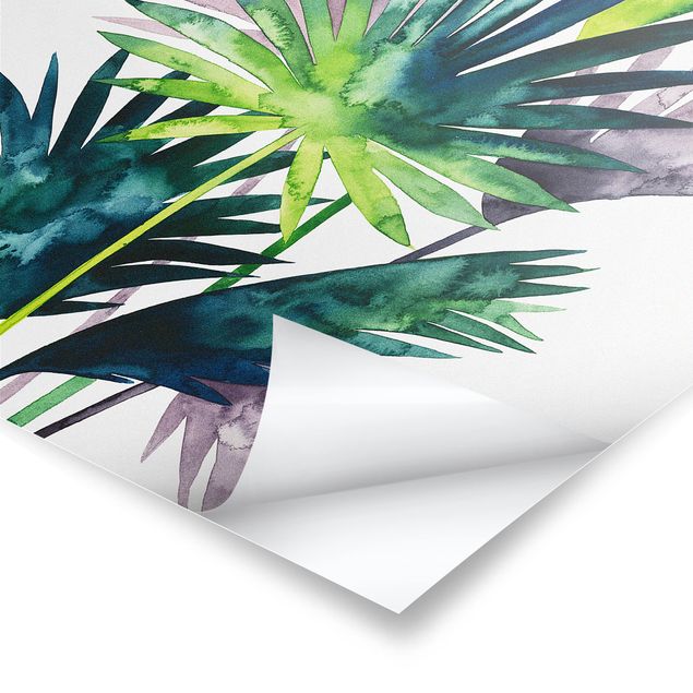 Posters Feuillage exotique - Fan Palm