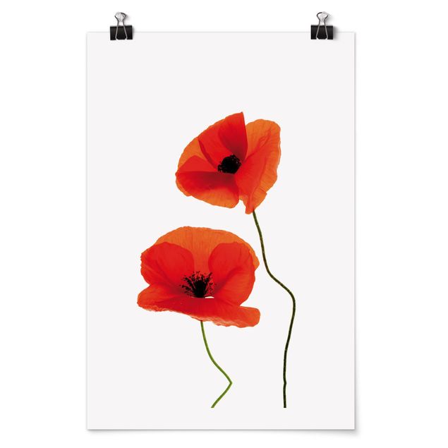 Tableaux modernes Charming Poppies