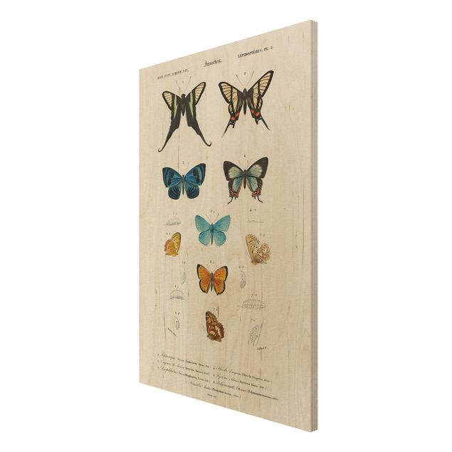 Tableau décoration Tableau Vintage papillons I