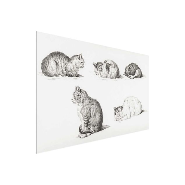 Tableaux animaux Vintage Drawing Cat I