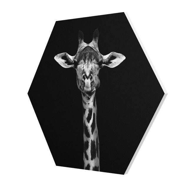 Forex tableau Portrait de girafe sombre