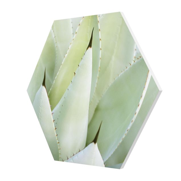 Tableaux verts Aloe