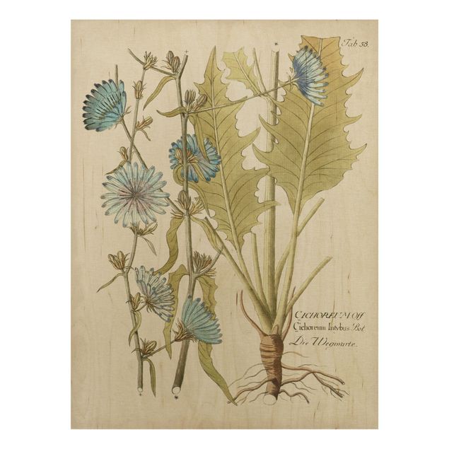 Tableaux en bois avec fleurs Botanique vintage en bleu endive
