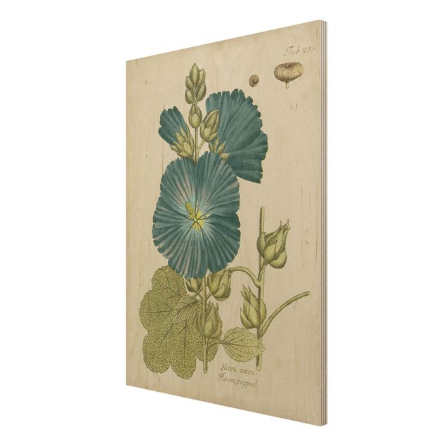 Tableau vintage bois Botanique vintage en bleu Rose Poplar