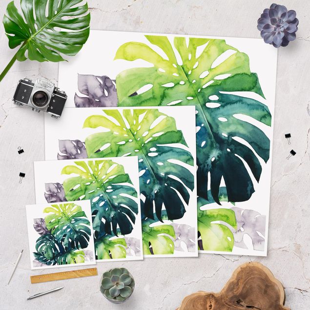 Posters muraux Feuillage exotique - Monstera