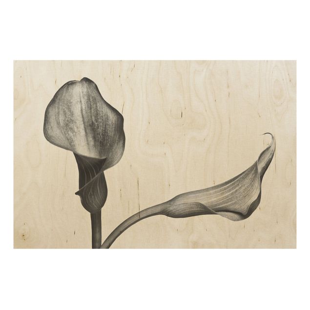 Tableaux en bois avec fleurs Gros plan de Calla Noir Et Blanc