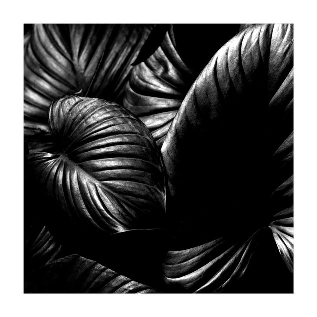 tapis chambre jungle Hosta Botanique Noir Et Blanc