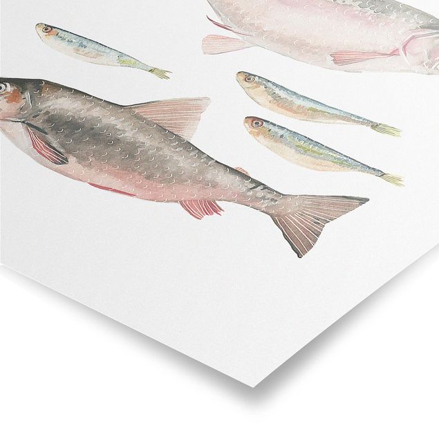 Poster animaux Sept poissons à l'aquarelle I