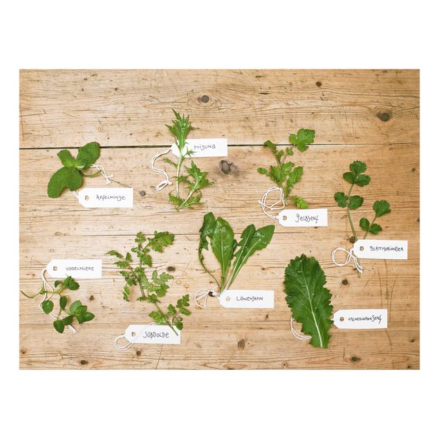 Fond de hotte - Herbs With Labeling