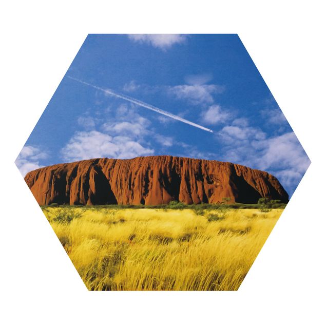 Tableaux nature Uluru