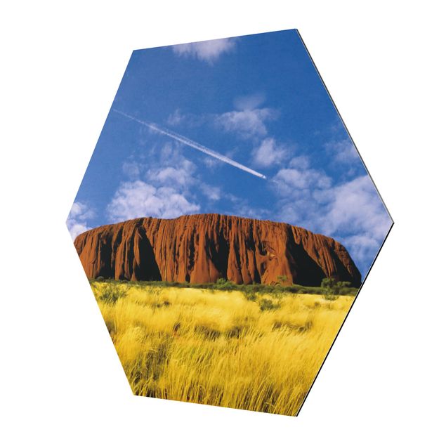 Tableau bleu Uluru