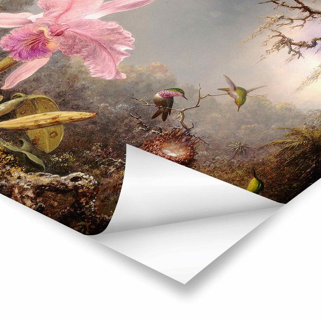Tableau rose Martin Johnson Heade - Orchidée et trois colibris