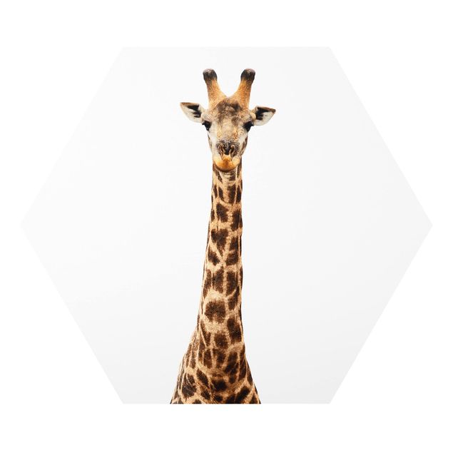 Tableau forex Tête de girafe
