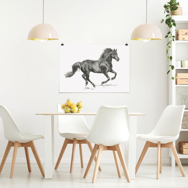 Tableaux chevaux Cheval sauvage - Étalon
