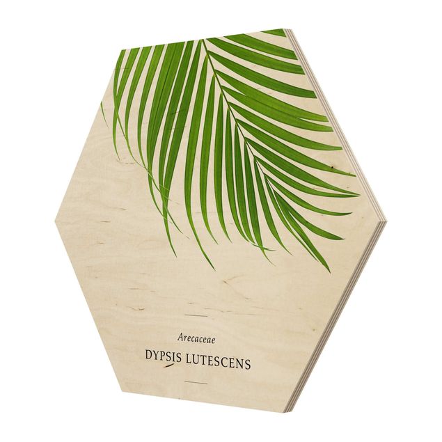 Hexagone en bois - Tropical Leaf Areca Palm