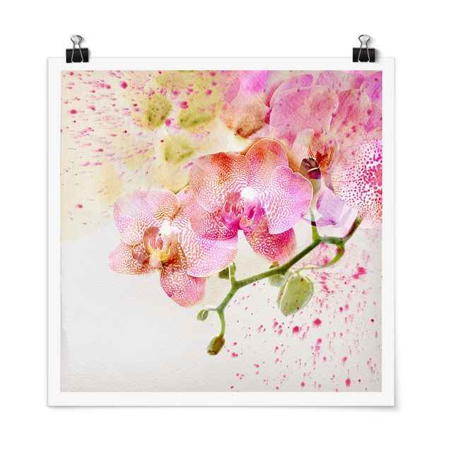 Tableaux modernes Fleurs aquarelle Orchidées