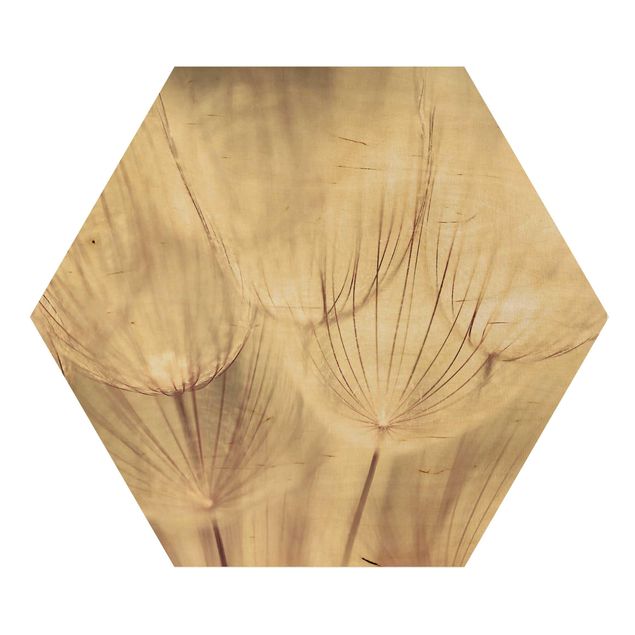 Hexagone en bois - Dandelions Close-Up In Cozy Sepia Tones