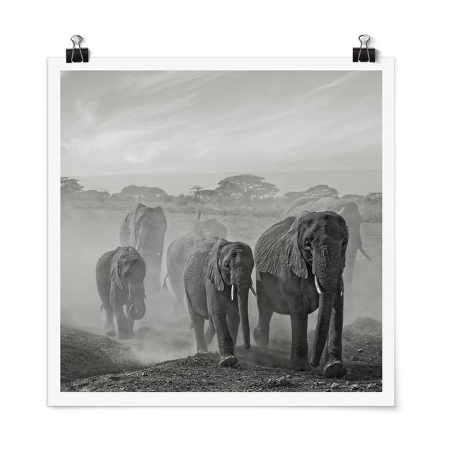Tableau éléphants Troupeau d'éléphants