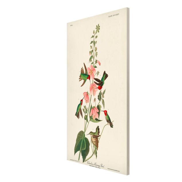 Tableau fleurs Panneau Vintage Colibri colombien