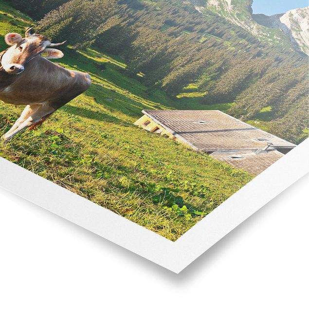 Tableaux montagnes Prairie alpine suisse avec vache