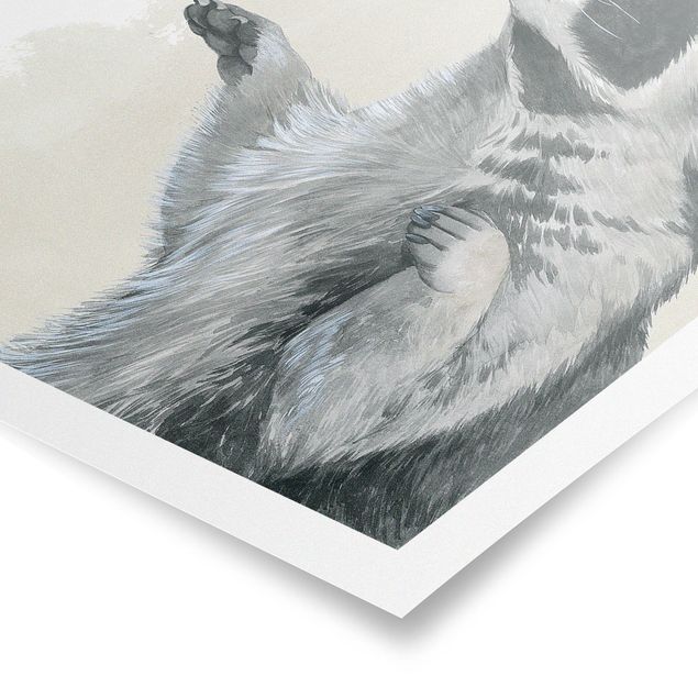 Affiche animaux Amis de la forêt - Raton laveur