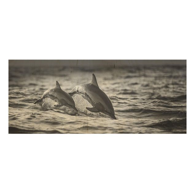 Tableaux Deux dauphins qui sautent