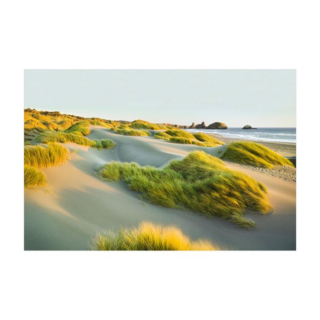 tapis vert Dunes et herbes à la mer
