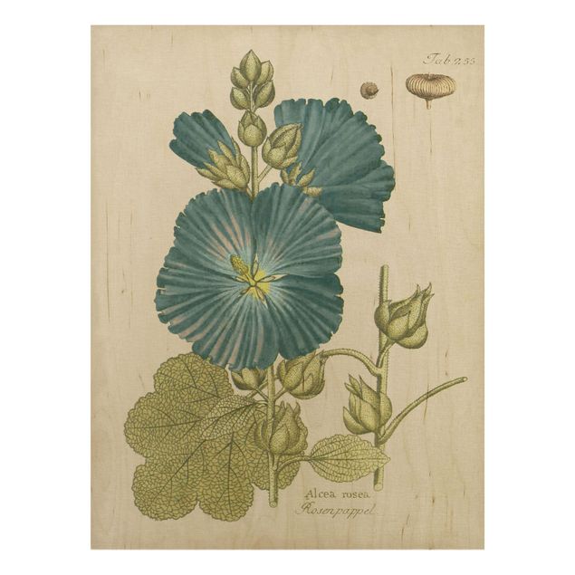 Tableaux en bois avec fleurs Botanique vintage en bleu Rose Poplar