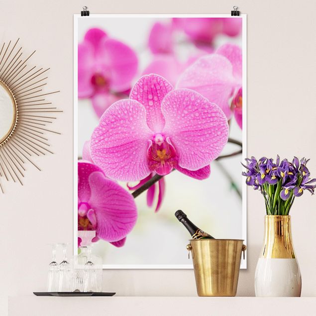 Décorations cuisine Gros plan sur une orchidée