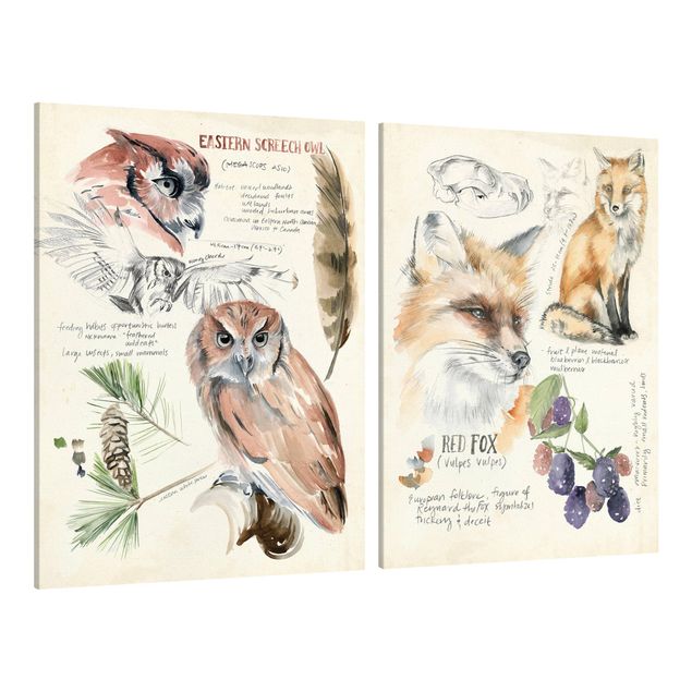Cadre animaux Journal de la nature sauvage - hibou et renard Lot I