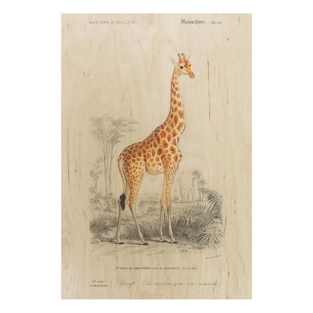 Tableau vintage bois Tableau Vintage Girafe